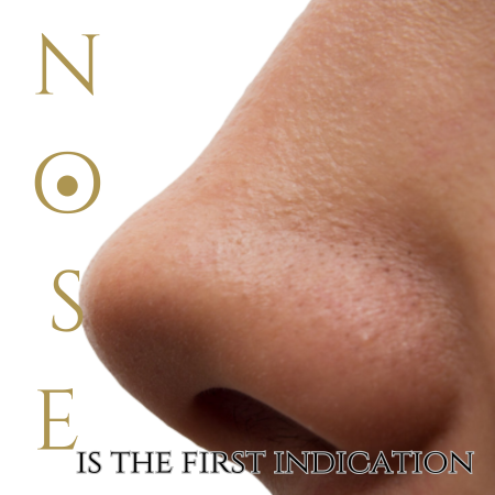 Your nose is the first indication if you are about to die post thumbnail image